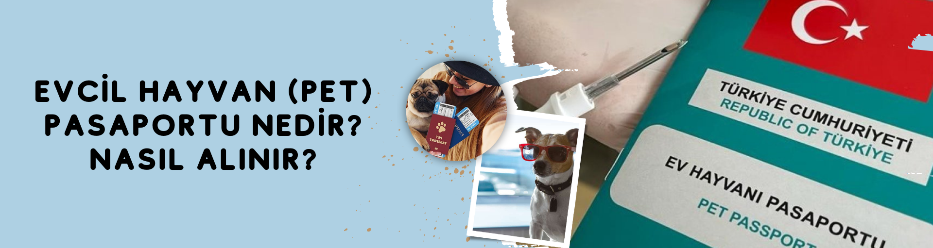 Evcil Hayvan (Pet) Pasaportu Nedir? Nasıl Alınır?